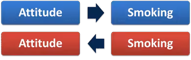 A diagram showcasing attitudes towards smoking and drinking.